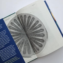 Vanishing Landscapes: The Story of Plants and How We Lost Them by Bonnie Lander Johnson - used book at Perkology Books