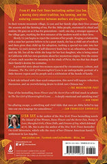 The Tea Girl of Hummingbird Lane: A Novel by Lisa See - used book at Perkology Books