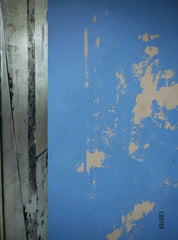 The Invisible Mark: Élise Van Thuyne by Elise Van Thuyne - used book at Perkology Books