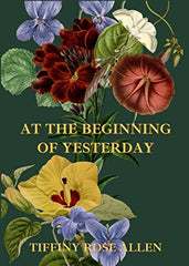At The Beginning Of Yesterday by Tiffiny Rose Allen - used book at Perkology Books