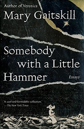 Somebody with a Little Hammer: Essays by Mary Gaitskill - used book at Perkology Books