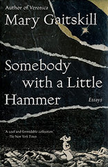 Somebody with a Little Hammer: Essays by Mary Gaitskill - used book at Perkology Books