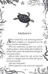 My Friend the Octopus: from the author of Darwin's Dragons by Lindsay Galvin - used book at Perkology Books