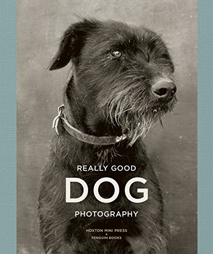 Really Good Dog Photography: Hoxton Mini Press by Lucy Davies - used book at Perkology Books