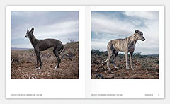 Really Good Dog Photography: Hoxton Mini Press by Lucy Davies - used book at Perkology Books