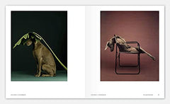 Really Good Dog Photography: Hoxton Mini Press by Lucy Davies - used book at Perkology Books