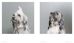 Really Good Dog Photography: Hoxton Mini Press by Lucy Davies - used book at Perkology Books