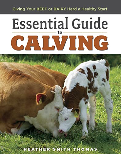 ESSENTIAL GUIDE TO CALVING