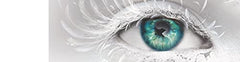 Restore Me: 4 (Shatter Me)
