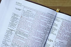 KJV, Thompson Chain-Reference Bible, Handy Size, Leathersoft, Brown, Red Letter