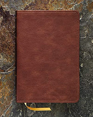 KJV, Thompson Chain-Reference Bible, Handy Size, Leathersoft, Brown, Red Letter