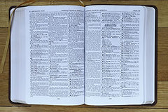 KJV, Thompson Chain-Reference Bible, Handy Size, Leathersoft, Brown, Red Letter
