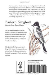 The Field Guide to Dumb Birds of America
