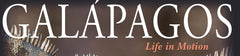 Galapagos – Life in Motion