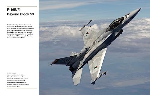 F-16 Fighting Falcon (Technical Guides)