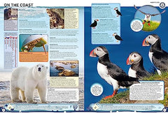 Guinness World Records 2024