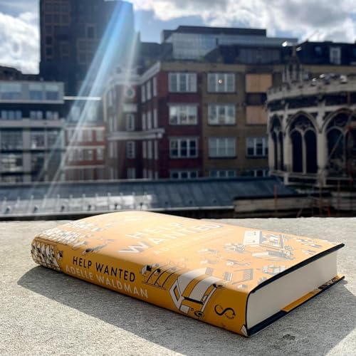 Help Wanted: 'A superb, empathic comedy of manners' Guardian