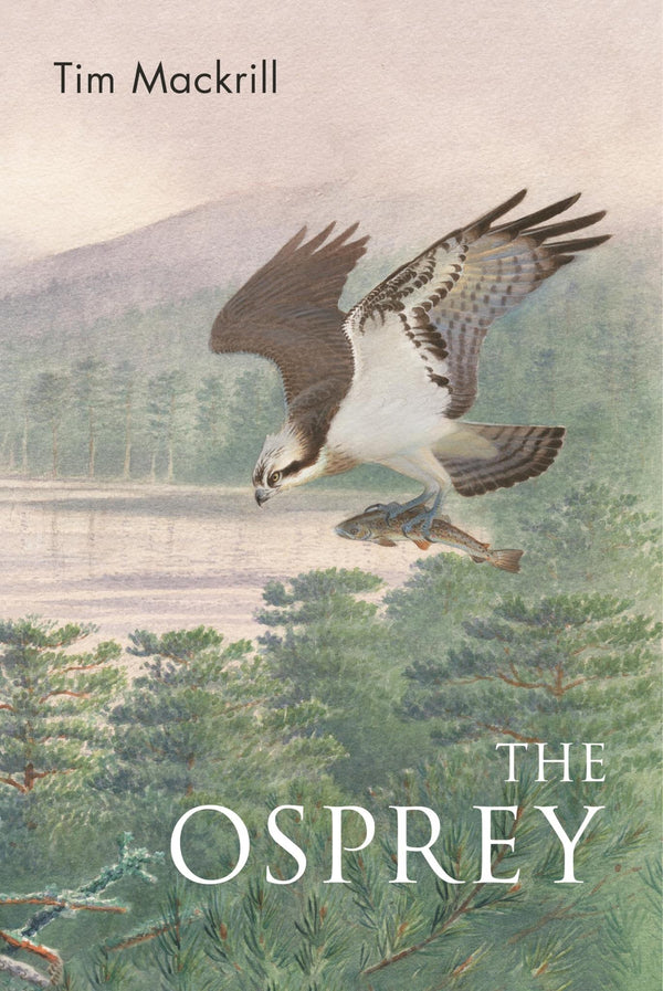 Cover of The Osprey (Poyser Monographs) by Tim Mackrill