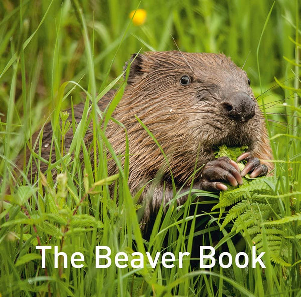 The Beaver Book (Nature Book Series) by Hugh Warwick - used book at Perkology Books