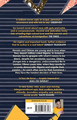 Americanah: Chimamanda Ngozi Adichie