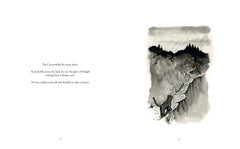 The Cat Who Taught Zen by James Norbury - used book at Perkology Books