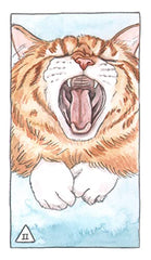 Cat Tarot: 78 Cards and Guidebook