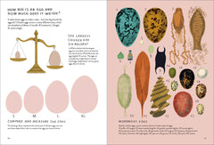 Chickenology: The Ultimate Encyclopedia: 1 (Farm Animal)