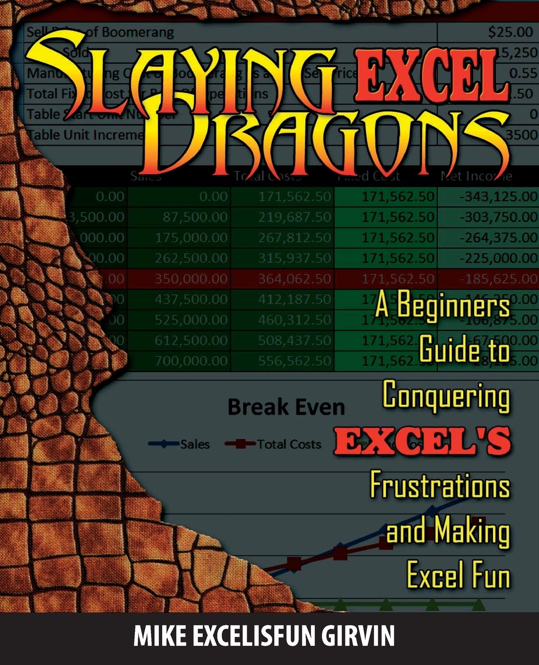 Slaying Excel Dragons: A Beginners Guide to Conquering Excel's ...