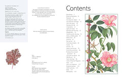 The Kew Book of Botanical Illustration (paperback edition)