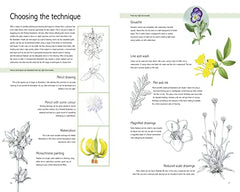 The Kew Book of Botanical Illustration (paperback edition)