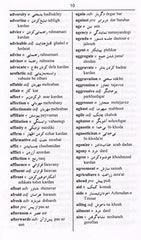 English-Farsi & Farsi-English (Persian) One-to-One Dictionary. Script & Roman