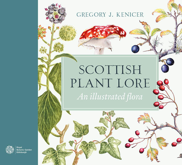 Cover of Scottish Plant Lore: An Illustrated Flora by Gregory J. Kenicer