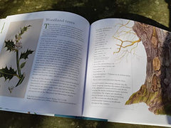 Scottish Plant Lore: An Illustrated Flora