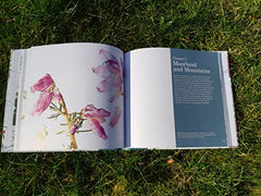 Scottish Plant Lore: An Illustrated Flora