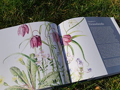 Scottish Plant Lore: An Illustrated Flora