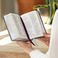 NKJV, Reference Bible, Compact Large Print, Leathersoft, Brown, Red Letter