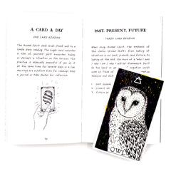 The Wild Unknown Animal Spirit Deck and Guidebook (Official Keepsake Box Set)