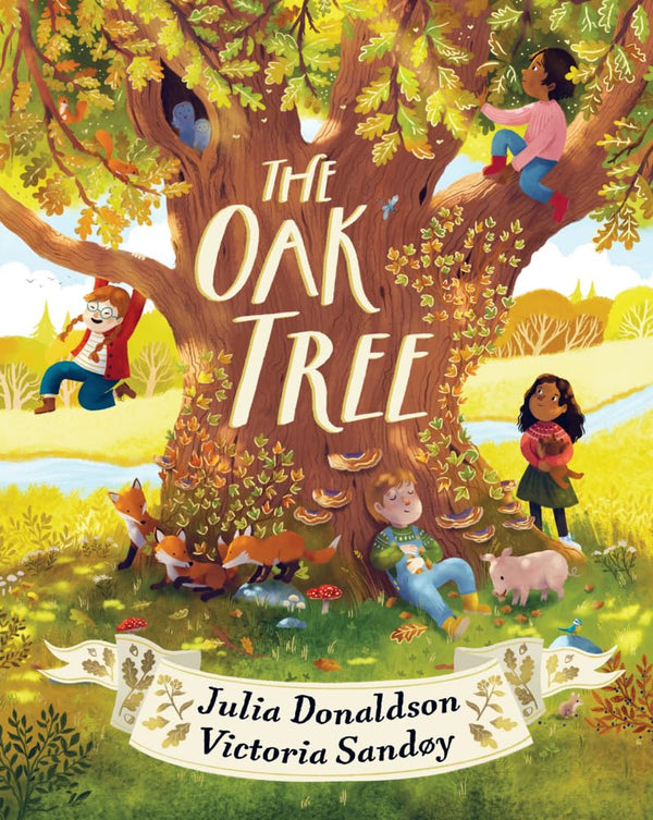 Cover of The Oak Tree: a dazzling, poetic picture book, by Julia Donaldson by Julia Donaldson