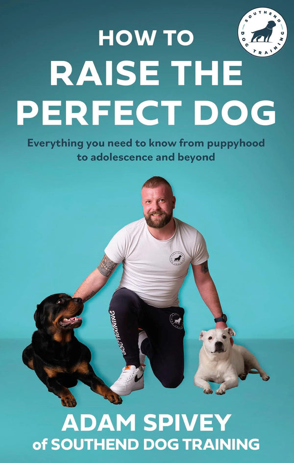 Cover of How to Raise the Perfect Dog: Everything you need to know from puppyhood by Adam Spivey