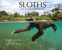 Cover of Sloths: Life in the Slow Lane by Dr. Rebecca Cliffe