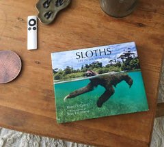 Sloths: Life in the Slow Lane