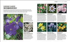 RHS How to Garden When You're New to Gardening: The Basics for Absolute Beginner