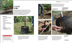 RHS How to Garden When You're New to Gardening: The Basics for Absolute Beginner