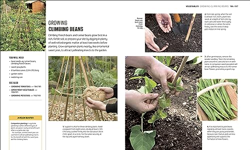 RHS How to Garden When You're New to Gardening: The Basics for Absolute Beginner
