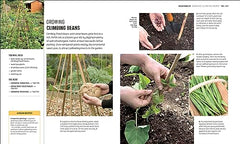RHS How to Garden When You're New to Gardening: The Basics for Absolute Beginner