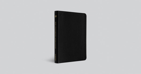 ESV New Testament with Psalms and Proverbs (Genuine Leather, Black): English