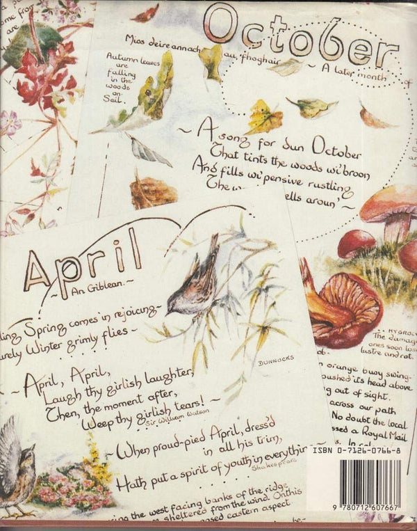 Island: Diary of a Year on Easdale