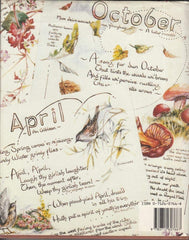 Island: Diary of a Year on Easdale