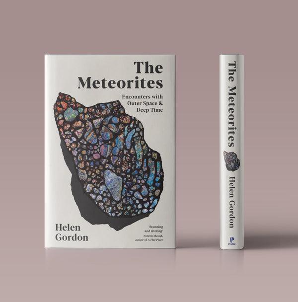 The Meteorites: Encounters with Outer Space and Deep Time