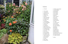 Containers in the Garden